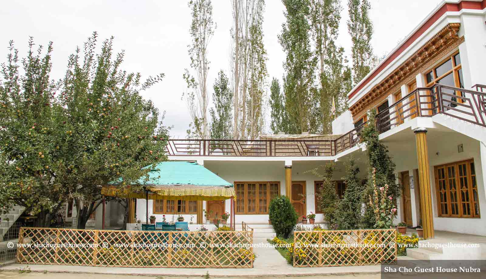 Sha Cho Guest House Ladakh