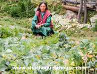 Hunder Sha Cho Guest House Organic Garden