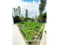 Sha Cho Guest House Nubra Organic Garden